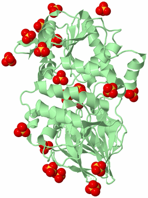 Image Biological Unit 2