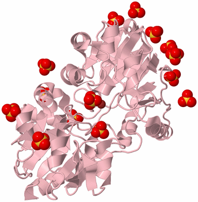 Image Biological Unit 3