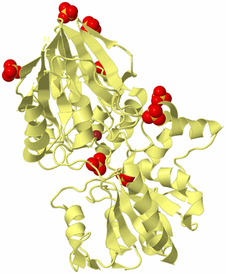 Image Biological Unit 4