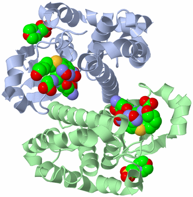 Image Asym./Biol. Unit