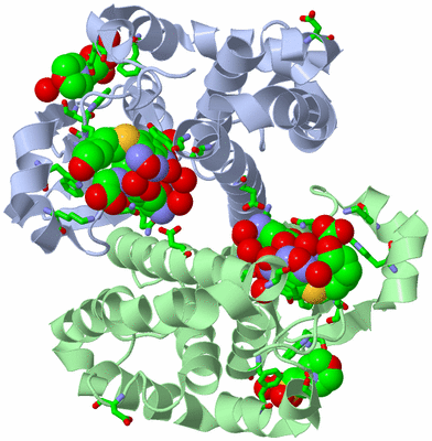 Image Asym./Biol. Unit - sites