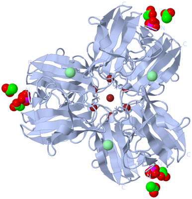 Image Biological Unit 2