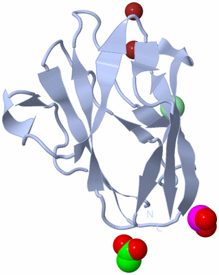 Image Biological Unit 1