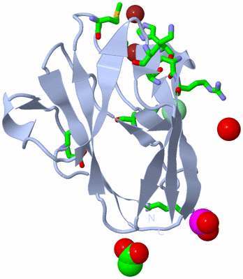 Image Biol. Unit 1 - sites