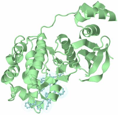 Image Biological Unit 2