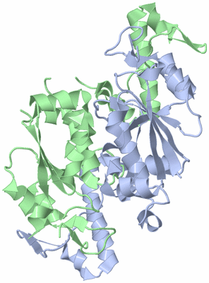 Image Asym./Biol. Unit