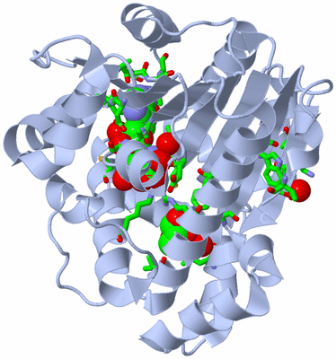 Image Biol. Unit 1 - sites