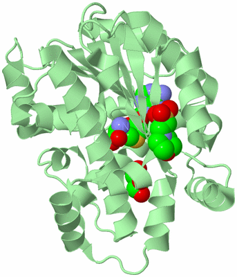 Image Biological Unit 2