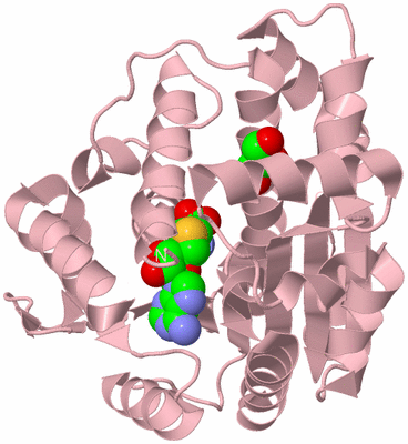 Image Biological Unit 3