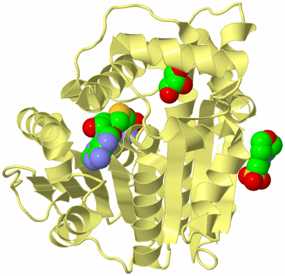 Image Biological Unit 4