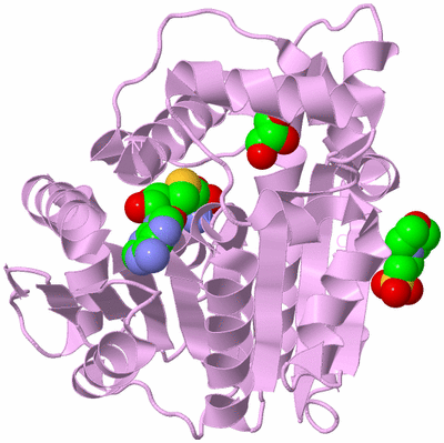 Image Biological Unit 5