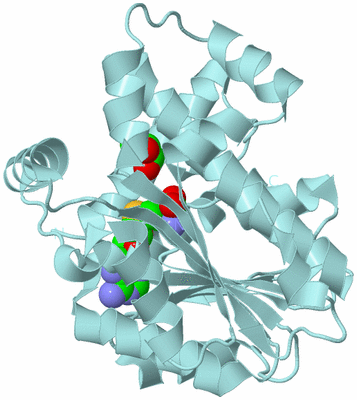 Image Biological Unit 6