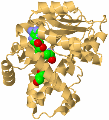 Image Biological Unit 7