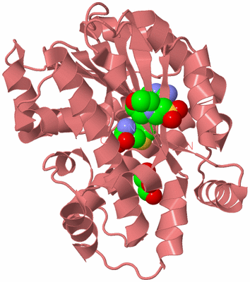 Image Biological Unit 8