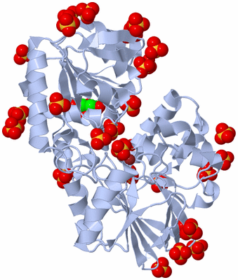 Image Biological Unit 1