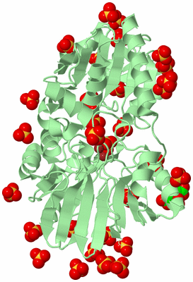 Image Biological Unit 2