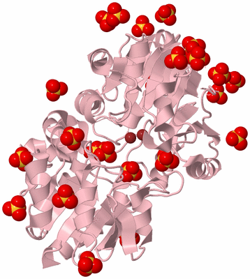 Image Biological Unit 3