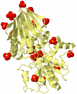 Image Biological Unit 4