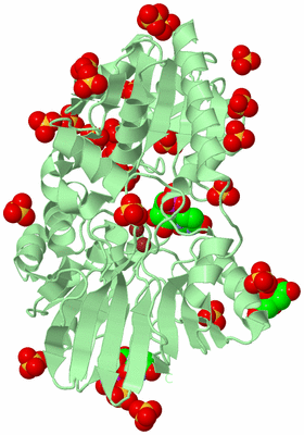 Image Biological Unit 2