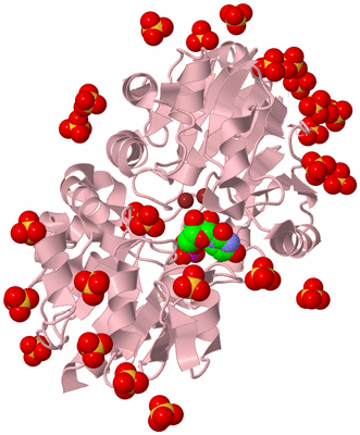 Image Biological Unit 3