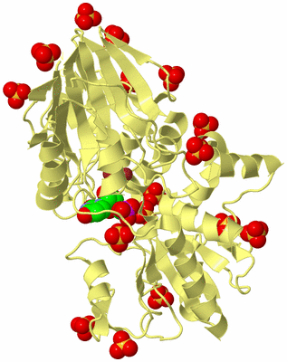 Image Biological Unit 4