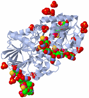 Image Biological Unit 1