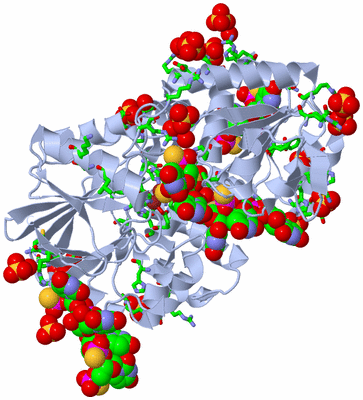 Image Biol. Unit 1 - sites