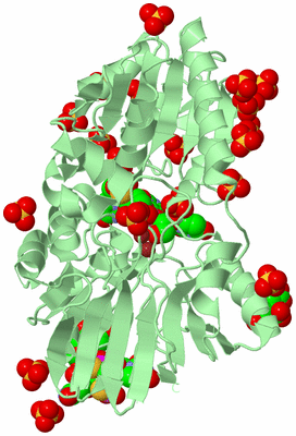 Image Biological Unit 2