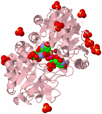 Image Biological Unit 3