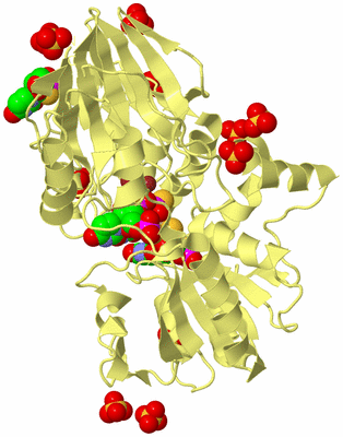 Image Biological Unit 4