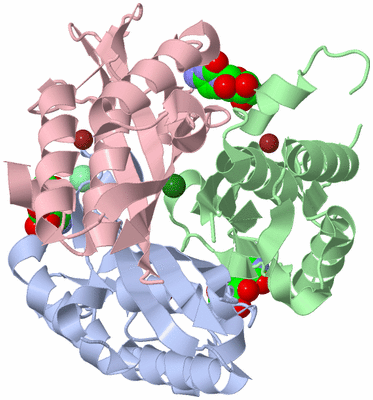 Image Asym./Biol. Unit