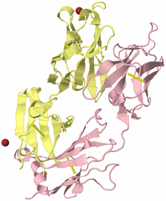 Image Biological Unit 3