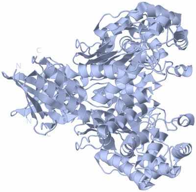 Image Biological Unit 1