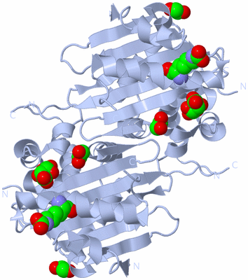 Image Biological Unit 1