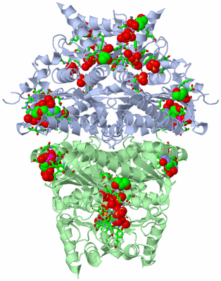 Image Biol. Unit 1 - sites