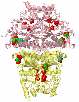 Image Biological Unit 2