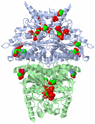 Image Biological Unit 1