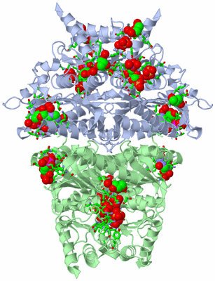 Image Biol. Unit 1 - sites