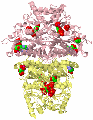 Image Biological Unit 2