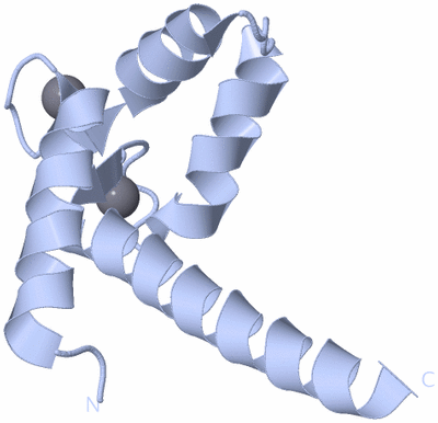 Image Biological Unit 1