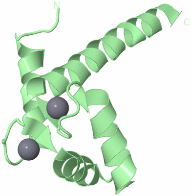 Image Biological Unit 2