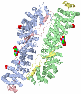 Image Biological Unit 1