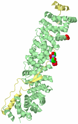 Image Biological Unit 3