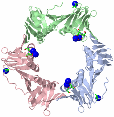 Image Asym./Biol. Unit - sites