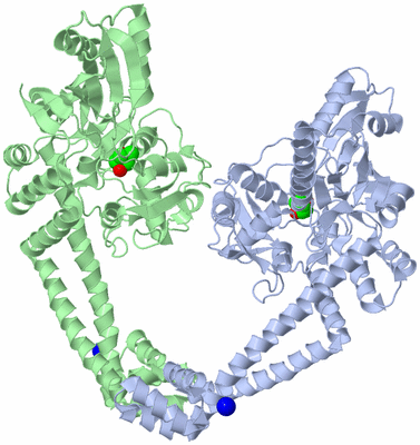 Image Asym./Biol. Unit