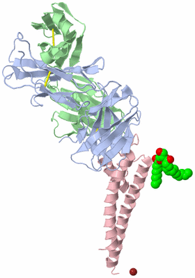 Image Asymmetric Unit