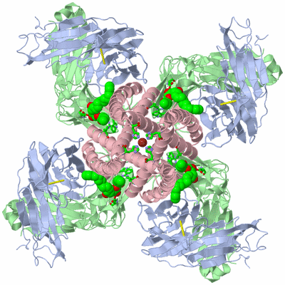 Image Biol. Unit 1 - sites