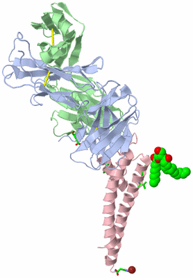 Image Asym. Unit - sites