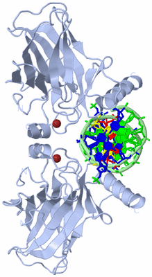 Image Biological Unit 1