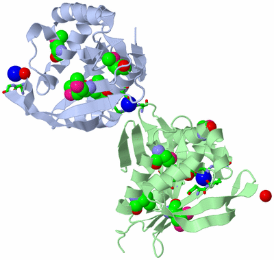 Image Biol. Unit 1 - sites